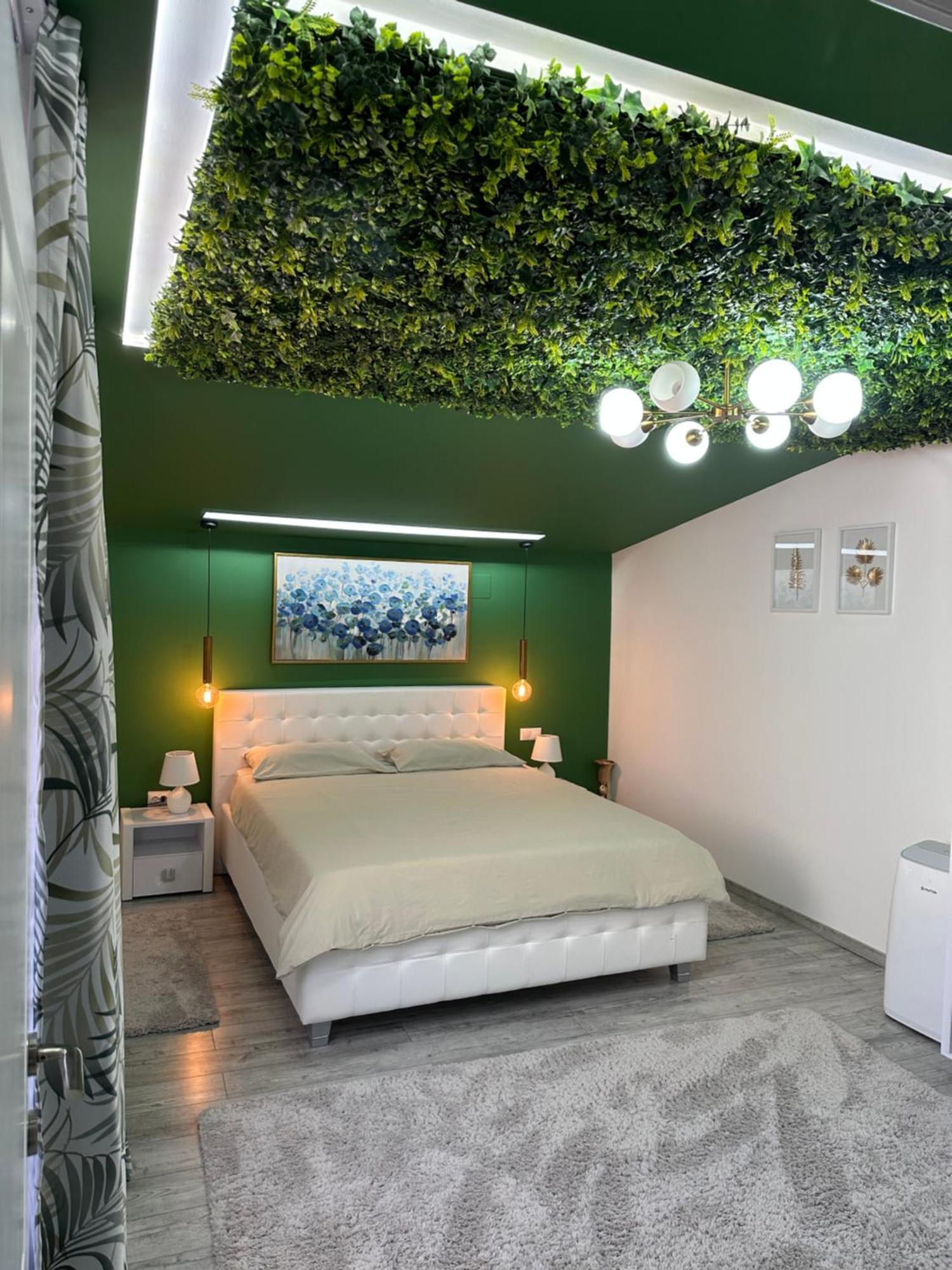 Deyinn Guest House Centrum トゥルダ エクステリア 写真