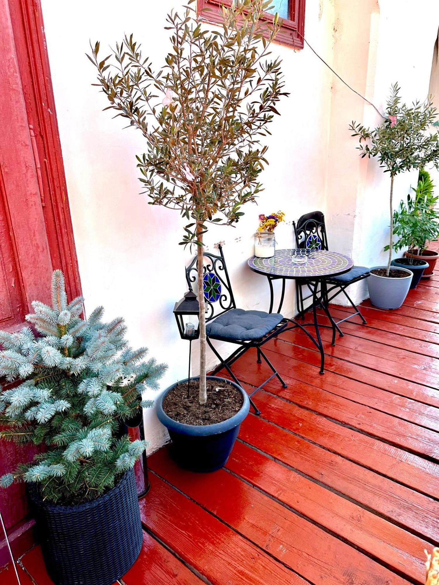 Deyinn Guest House Centrum トゥルダ エクステリア 写真
